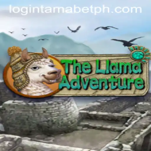 The Llama Adventure: An Exciting Journey with Tamabet